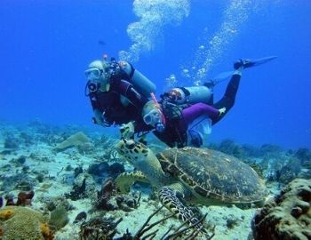 el buceo es un deporte extremo