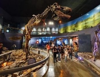 museos interactivos en m�xico