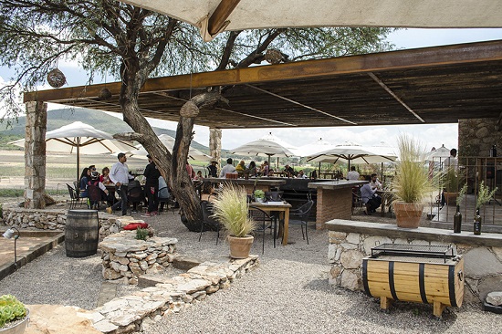 vi�edos puerta del lobo