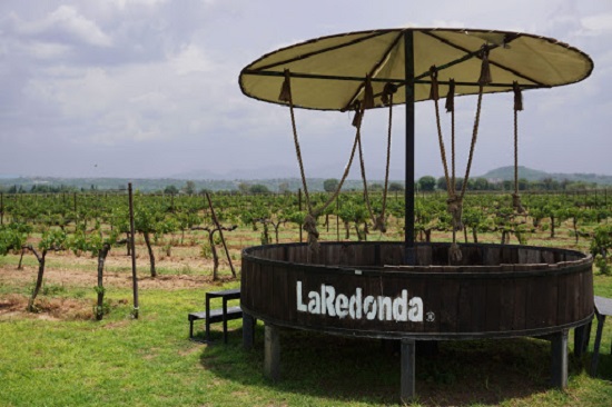 vi�edos la redonda