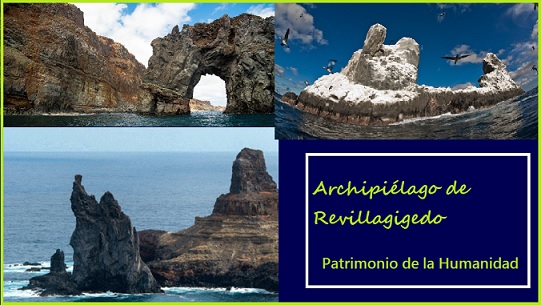 reglamento para su estudio y observaci�n