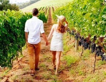 recorre los vi�edos