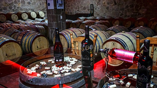 vi�edo san juanito