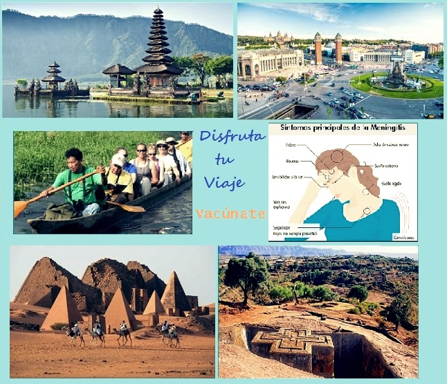 meningitis meningoc�cica